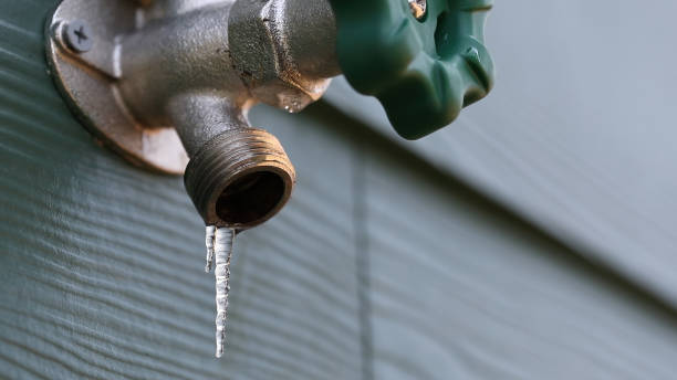 Professional Plumbing in Flowery Branch, GA